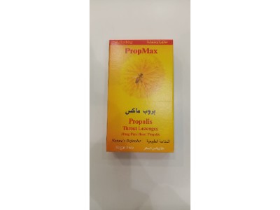 https://cdn.shopify.com/s/files/1/0818/1638/7878/files/22360.jpg?v=1736240527
