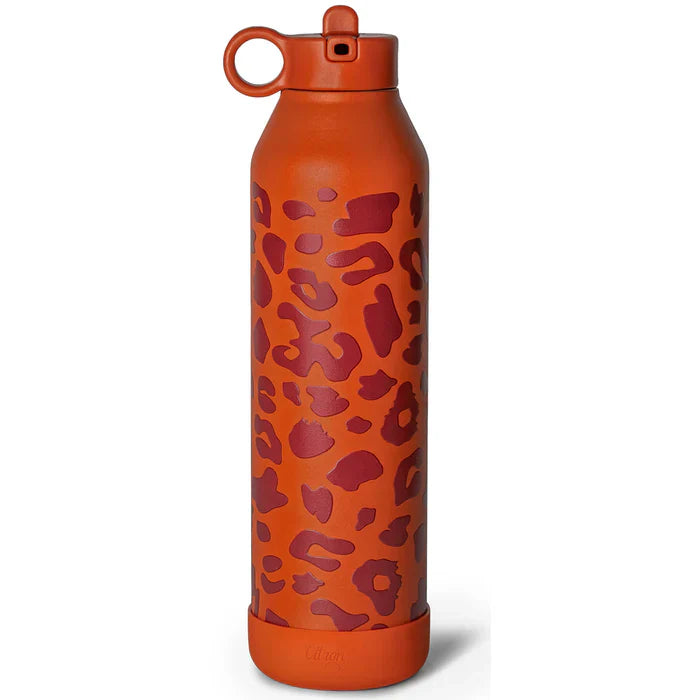 https://cdn.shopify.com/s/files/1/0818/1638/7878/files/400979.webp?v=1755174062