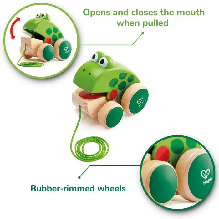 Hape - Frog Pull Along