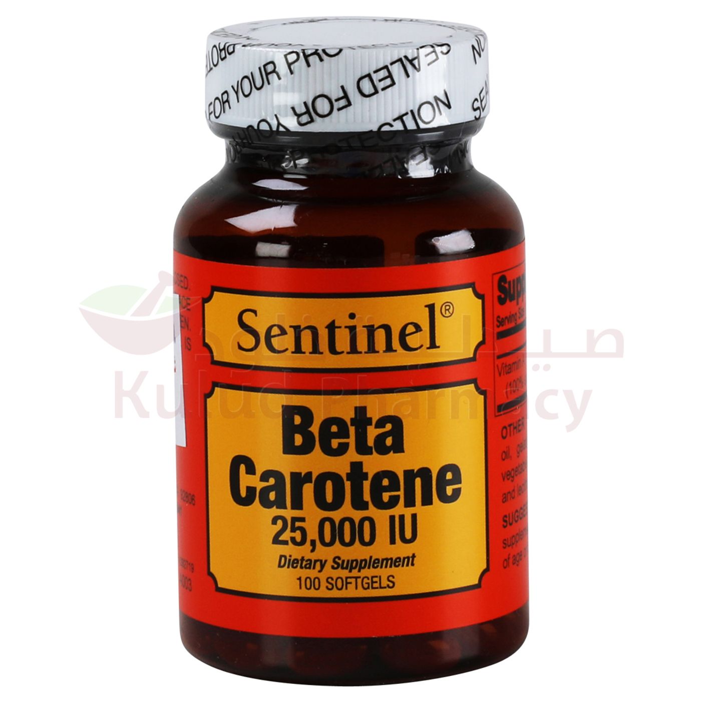 https://cdn.shopify.com/s/files/1/0818/1638/7878/files/41430.jpg?v=1755528519