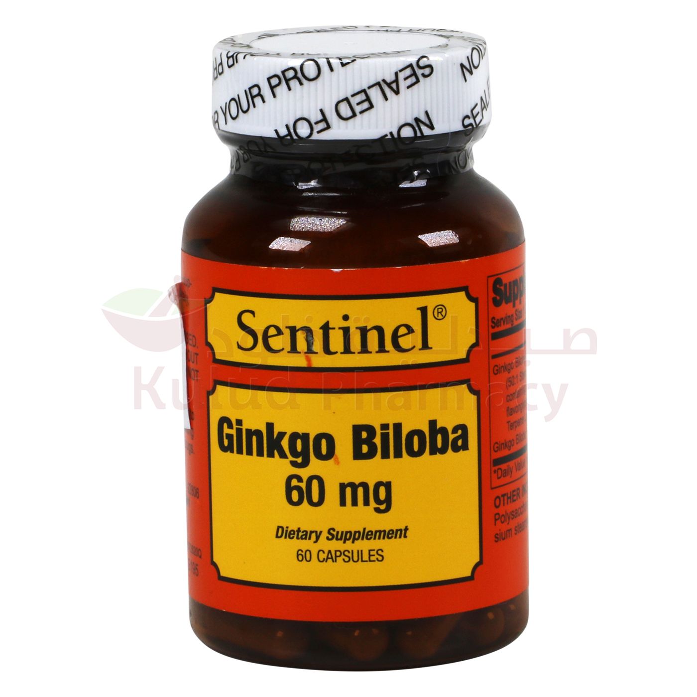 https://cdn.shopify.com/s/files/1/0818/1638/7878/files/42263.jpg?v=1755528543