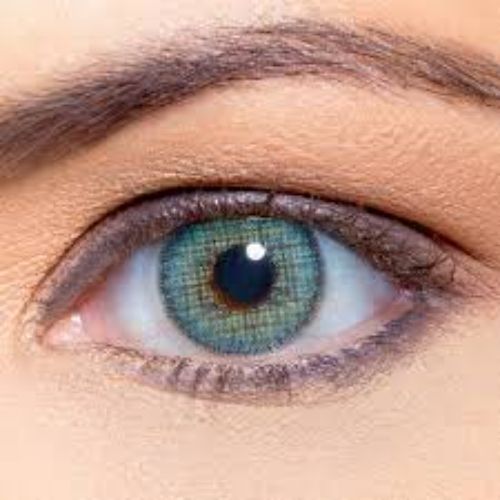 https://cdn.shopify.com/s/files/1/0818/1638/7878/files/52114.jpg?v=1746793835
