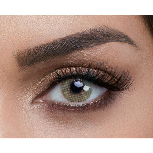 https://cdn.shopify.com/s/files/1/0818/1638/7878/files/54113.jpg?v=1746793809