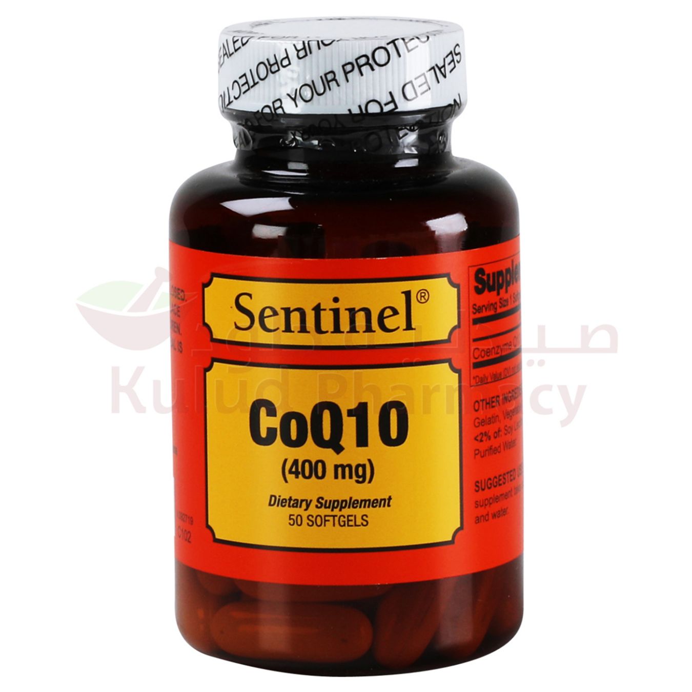 https://cdn.shopify.com/s/files/1/0818/1638/7878/files/54330.jpg?v=1755528745
