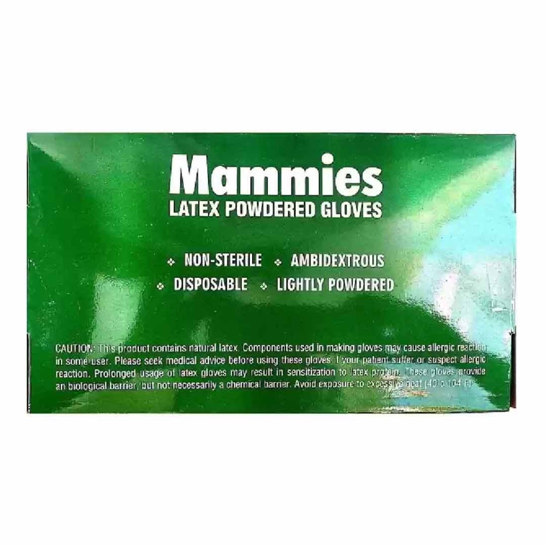 Latex Powdered (S) Gloves 100 PC