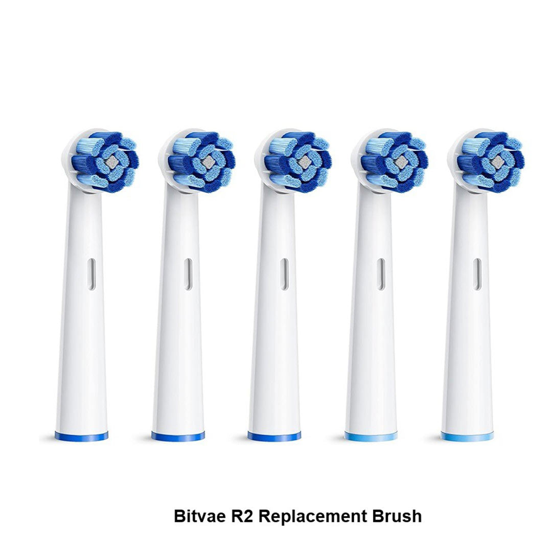 Bitvae R2 Replacement Brush 5's