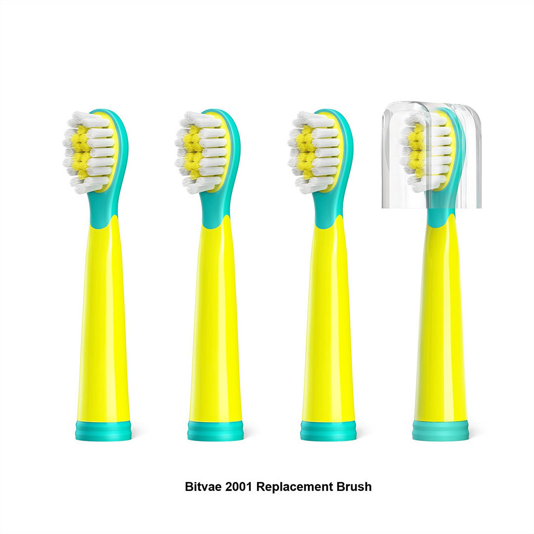 Bitvae 2001 Replacement Brush 4's
