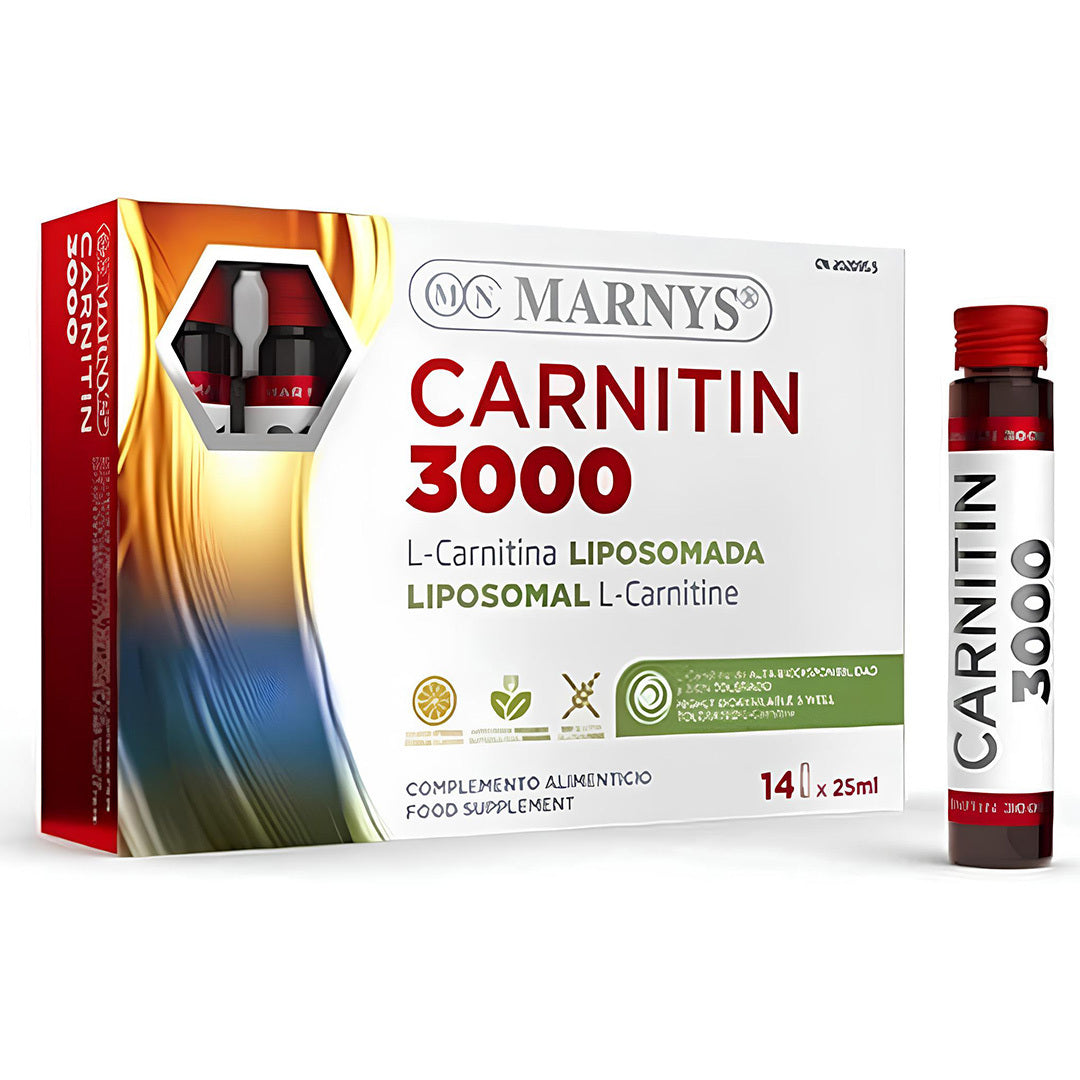 https://cdn.shopify.com/s/files/1/0818/1638/7878/files/cartiniHD_1.jpg?v=1755528841