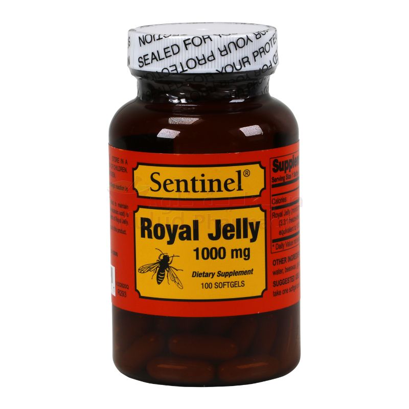 https://cdn.shopify.com/s/files/1/0818/1638/7878/files/21360.jpg?v=1755528417