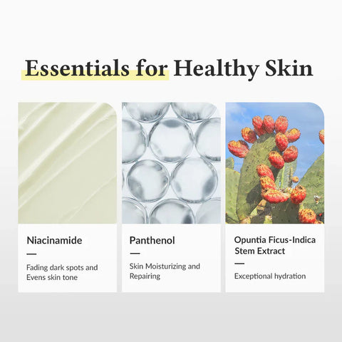 https://cdn.shopify.com/s/files/1/0818/1638/7878/files/241008_____345___-3_be816c7f-96b6-428c-9a83-47f5de632.webp?v=1757582236
