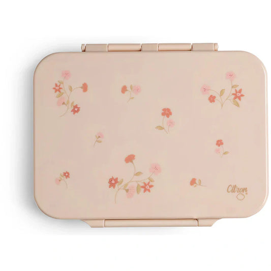 https://cdn.shopify.com/s/files/1/0818/1638/7878/files/400980.webp?v=1755174796