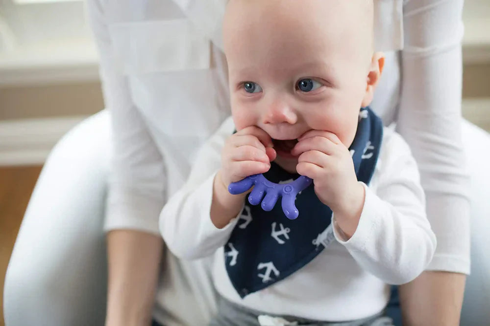 Dr.Browns Flexees Friends Octopus Teether (Purple)