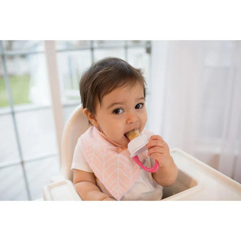Dr.Browns Fresh Firsts Silicone Feeder - 1-Pack (Pink)