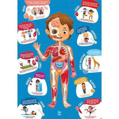 Hape - Human Body Puzzle