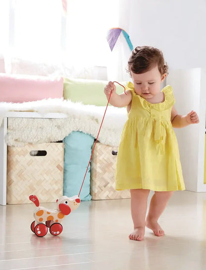 Hape - Walk-A-Long Puppy/Fsc