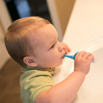 Dr.Browns Infant-To-Toddler Toothbrush, Blue Elephant, 1-Pack