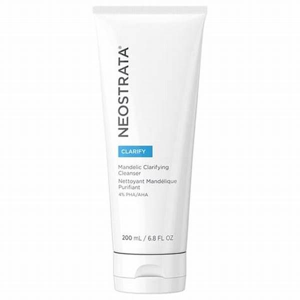 https://cdn.shopify.com/s/files/1/0818/1638/7878/files/45542.jpg?v=1746785532