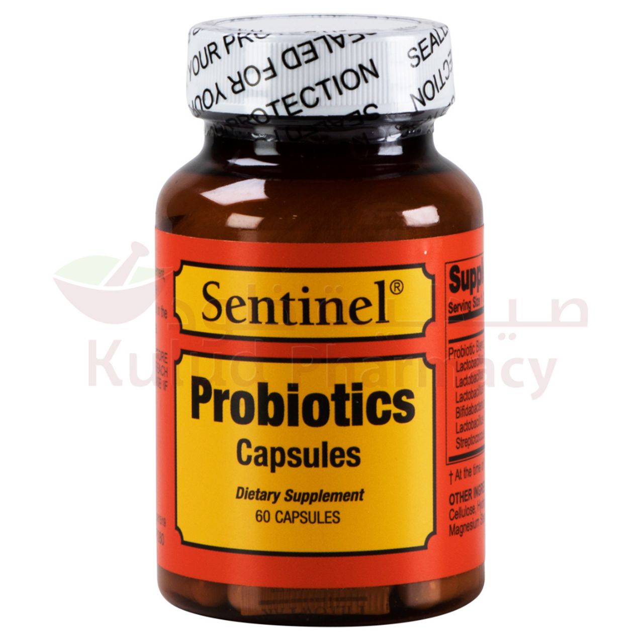 https://cdn.shopify.com/s/files/1/0818/1638/7878/files/54327.jpg?v=1755528743