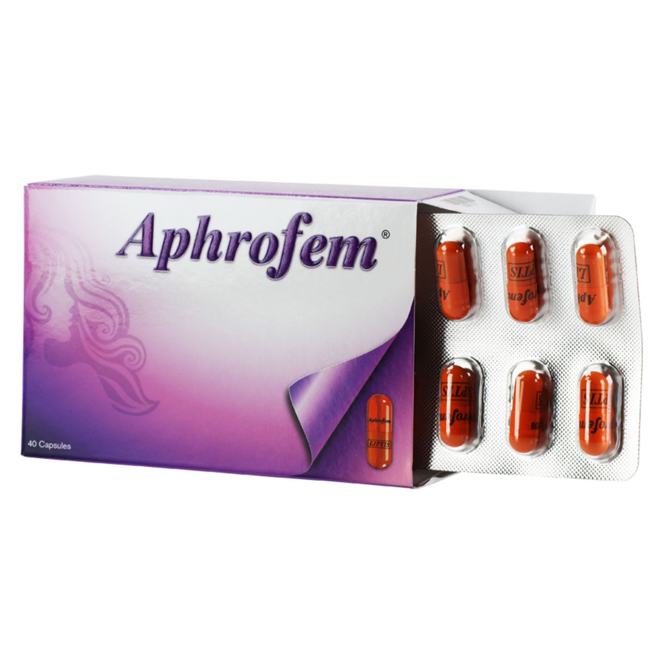 https://cdn.shopify.com/s/files/1/0818/1638/7878/files/55713.jpg?v=1755528782