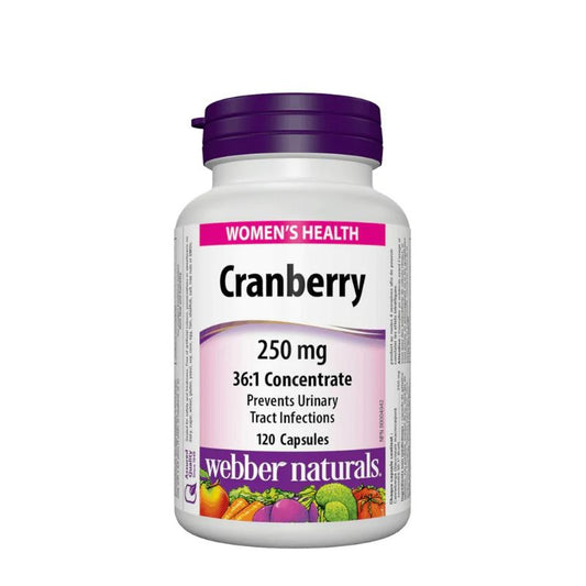 https://cdn.shopify.com/s/files/1/0818/1638/7878/files/62731.jpg?v=1755528993