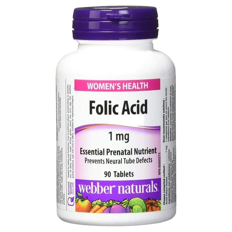 https://cdn.shopify.com/s/files/1/0818/1638/7878/files/62733.jpg?v=1755528995