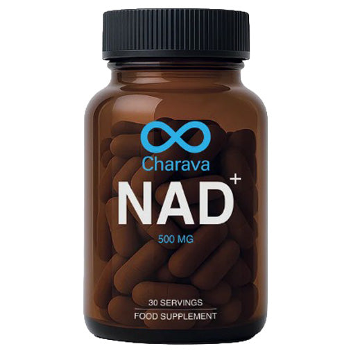 https://cdn.shopify.com/s/files/1/0818/1638/7878/files/69416.jpg?v=1775995922